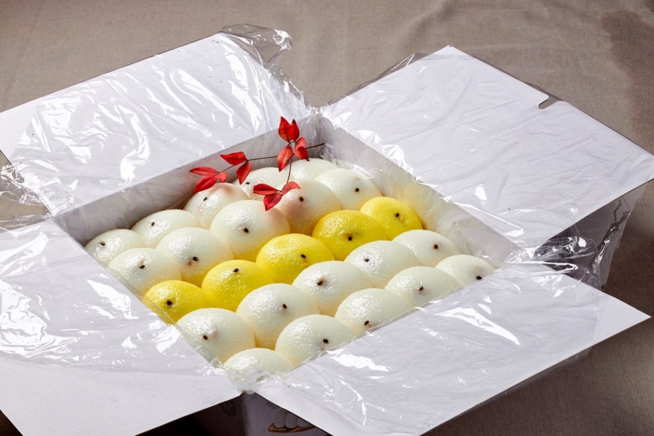 잔기지떡 3박스