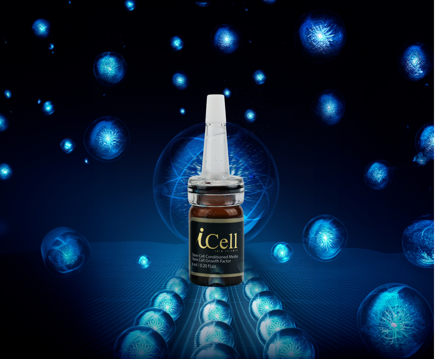 아이셀 스템 엑소 앰플 10구